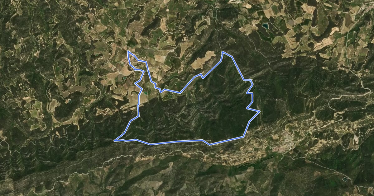 Маршрут Ruta de la Transllena на спутниковом снимке