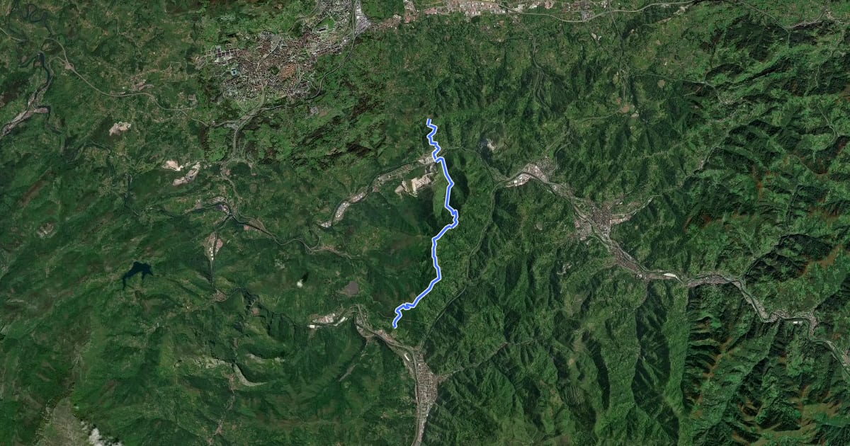 Маршрут Ruta de las Peregrinaciones. Ramal de Mieres на спутниковом снимке