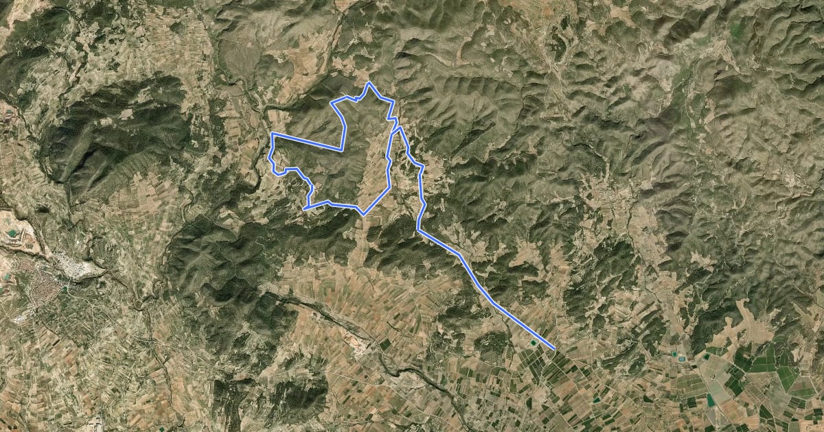 Маршрут Ruta de les Bodegues на спутниковом снимке