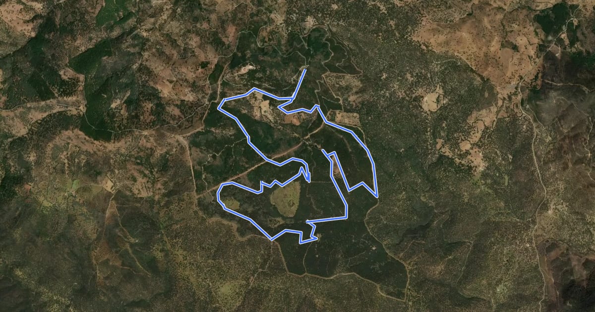 Маршрут Ruta de los Ecosistemas Forestales на спутниковом снимке