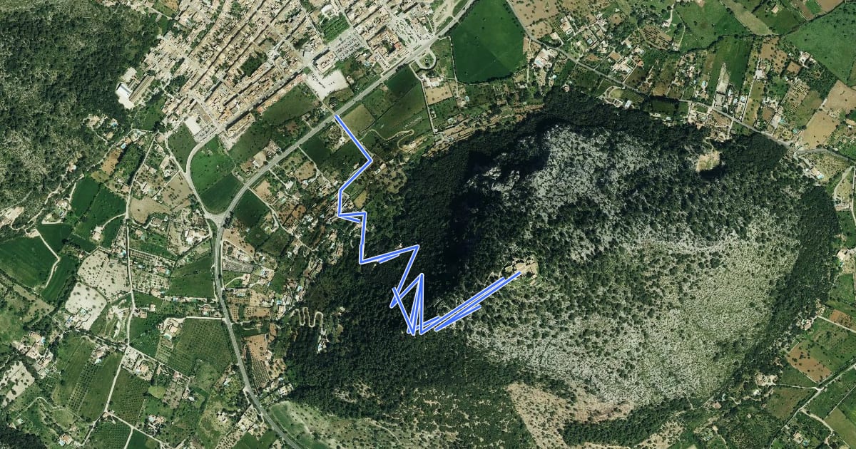 Маршрут Ruta de Pedra en Sec - Variant H Puig de Maria на спутниковом снимке