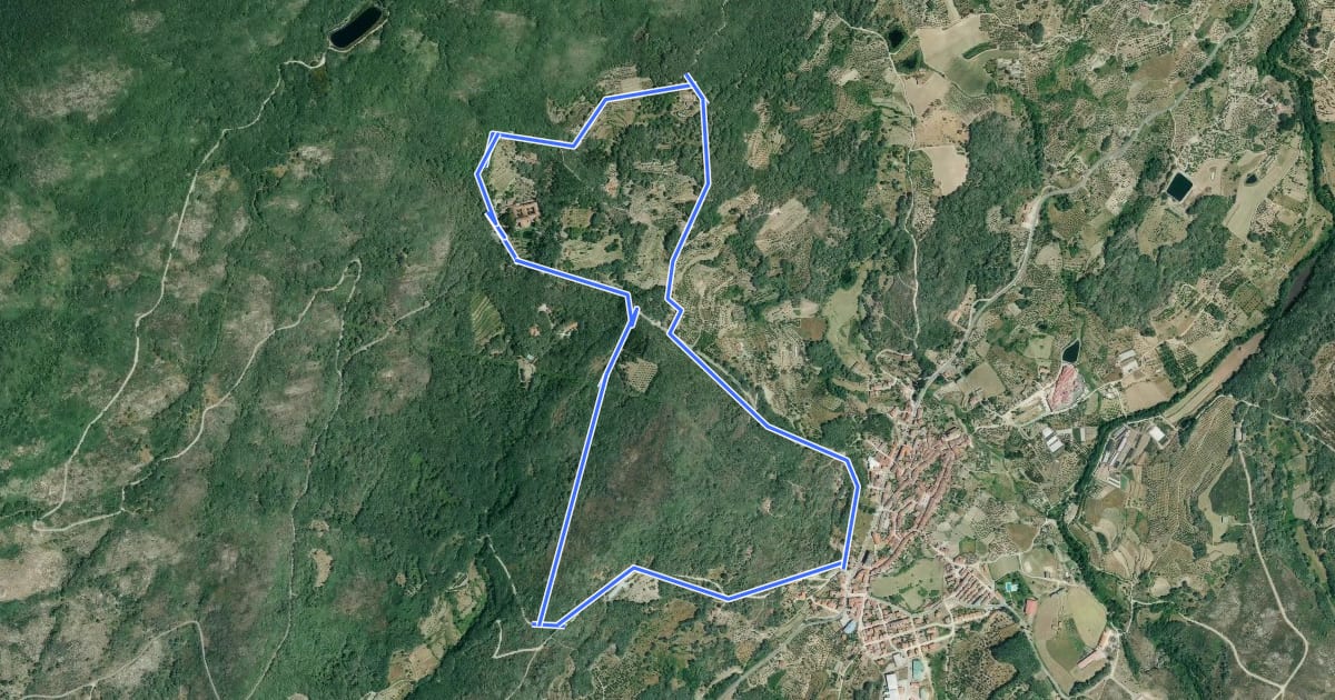 Маршрут Ruta de Yuste на спутниковом снимке