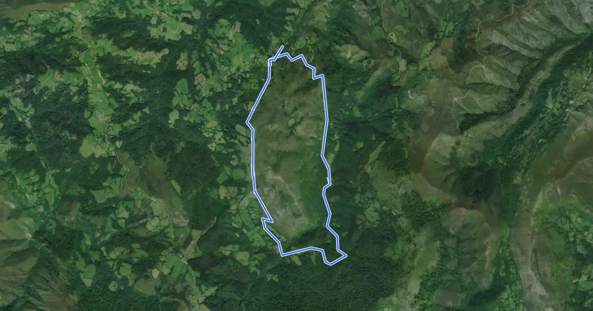 Маршрут Ruta del bosque de Cea на спутниковом снимке
