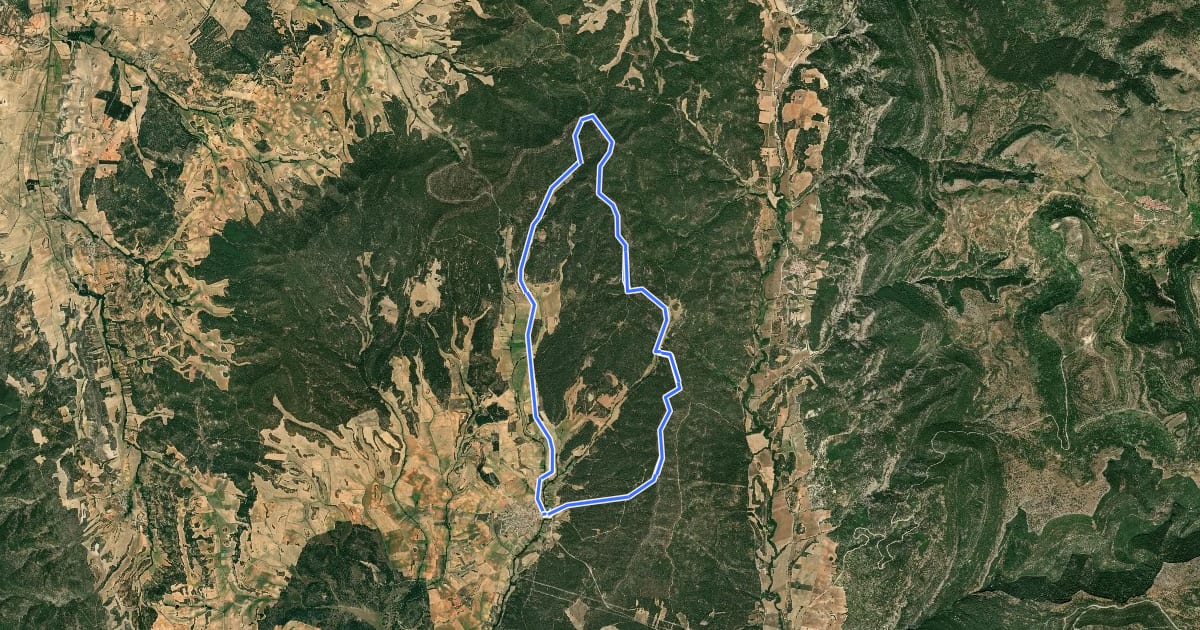 Маршрут Ruta del Cerro de La Calera y Los Vallejos на спутниковом снимке