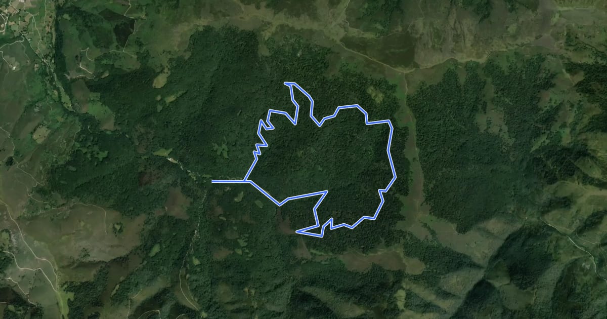 Маршрут Ruta del Hayacorva на спутниковом снимке