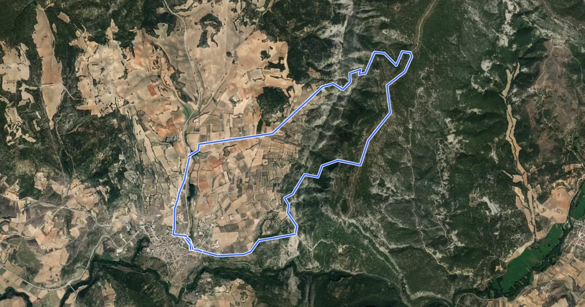 Маршрут Ruta del Mirador del Rodenal на спутниковом снимке