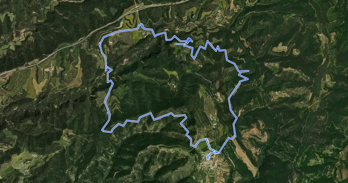 Маршрут Ruta del romànic X - L’Estany на спутниковом снимке