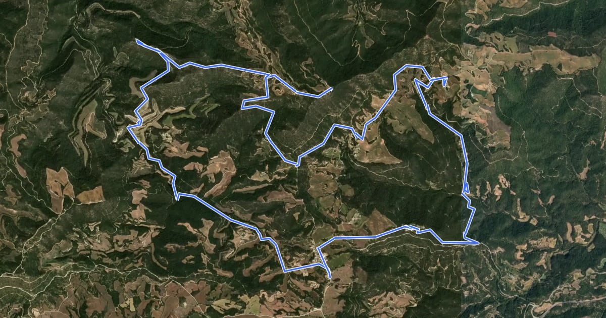 Маршрут Ruta del romànic XII - Castellfollit del Boix на спутниковом снимке