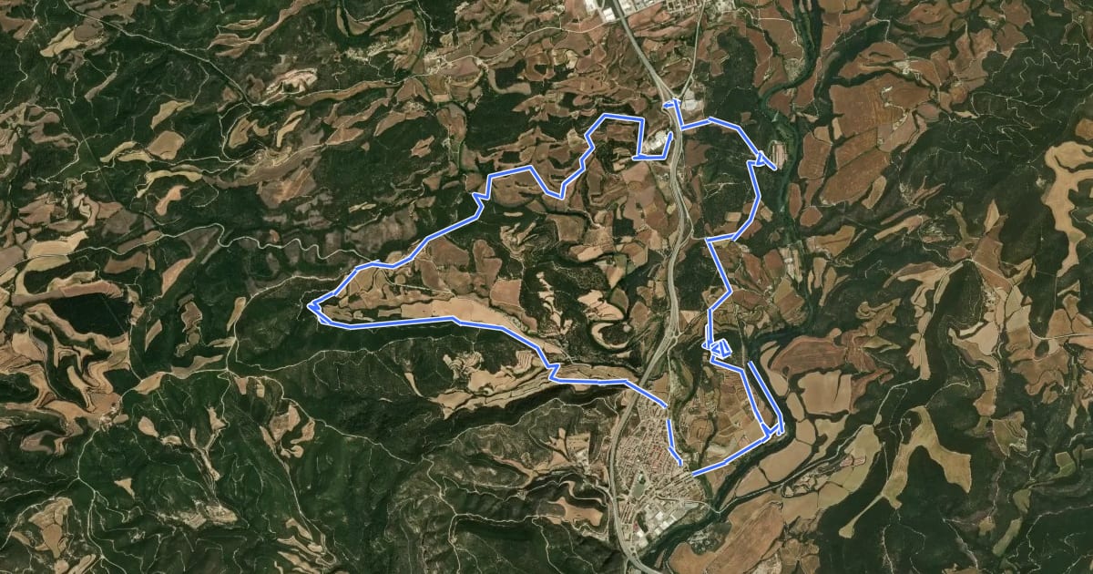 Маршрут Ruta del romànic XIV.1 – Entre Balsareny i Gaià на спутниковом снимке
