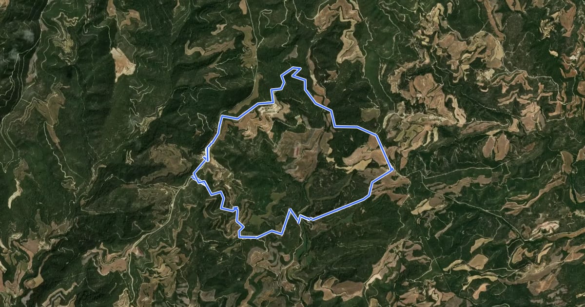 Маршрут Ruta del romànic XV.2 – Sant Cugat del Racó i Navàs на спутниковом снимке