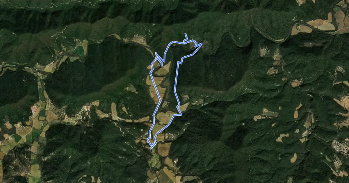 Маршрут Ruta del veïnat de Roca i Briolf на спутниковом снимке