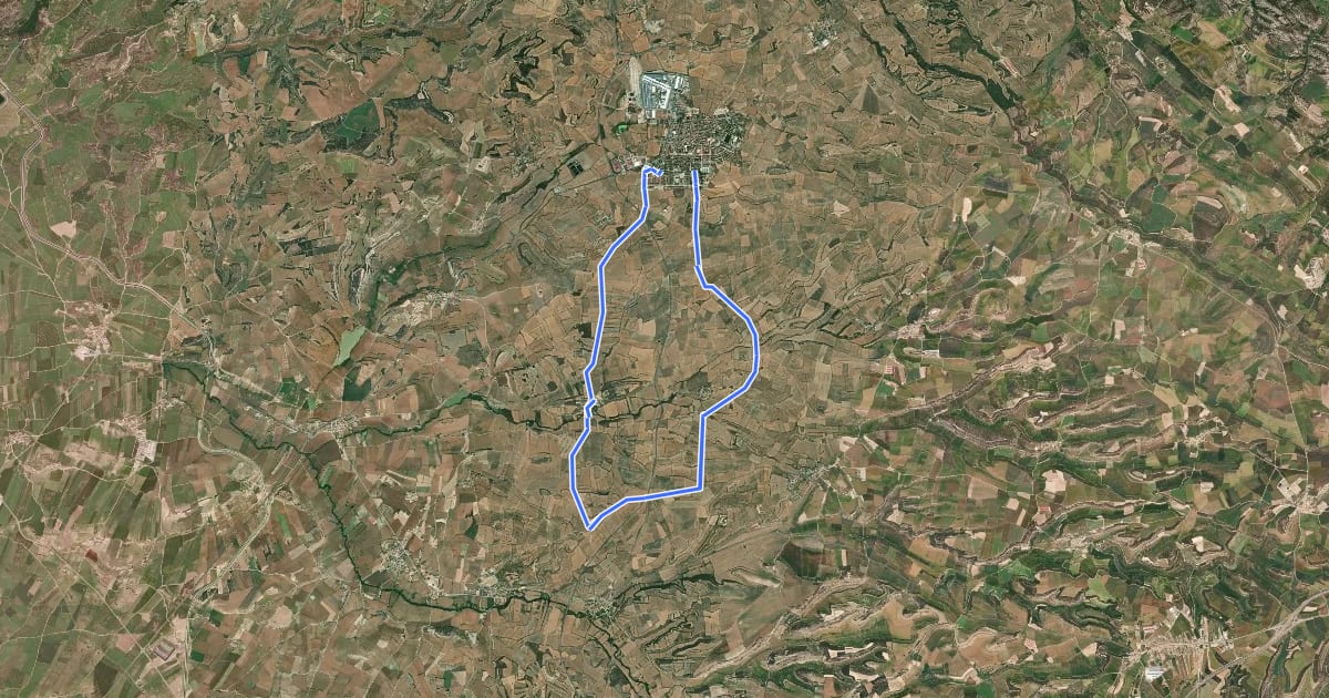 Маршрут Ruta dels Romans. La Segarra на спутниковом снимке