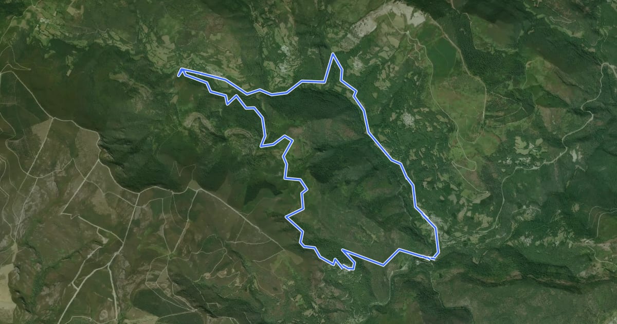 Маршрут Ruta do río Pequeno на спутниковом снимке
