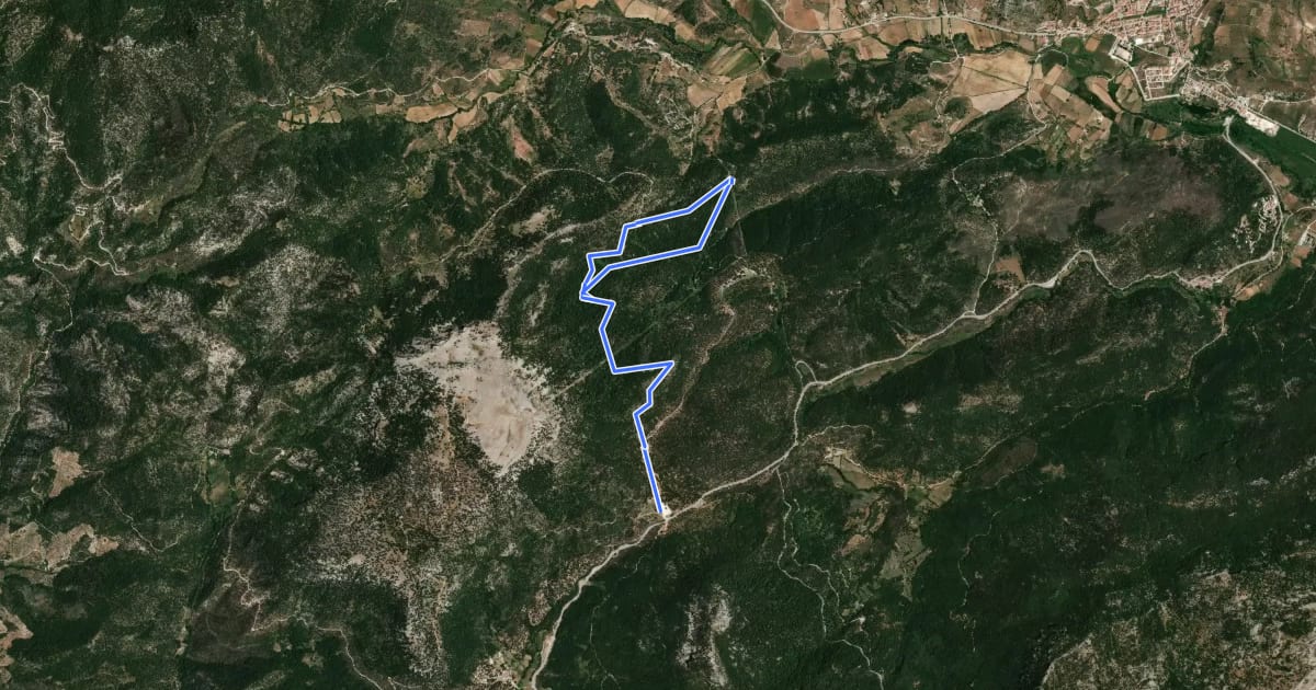 Маршрут Ruta Micológica Riópar - El Arenal на спутниковом снимке