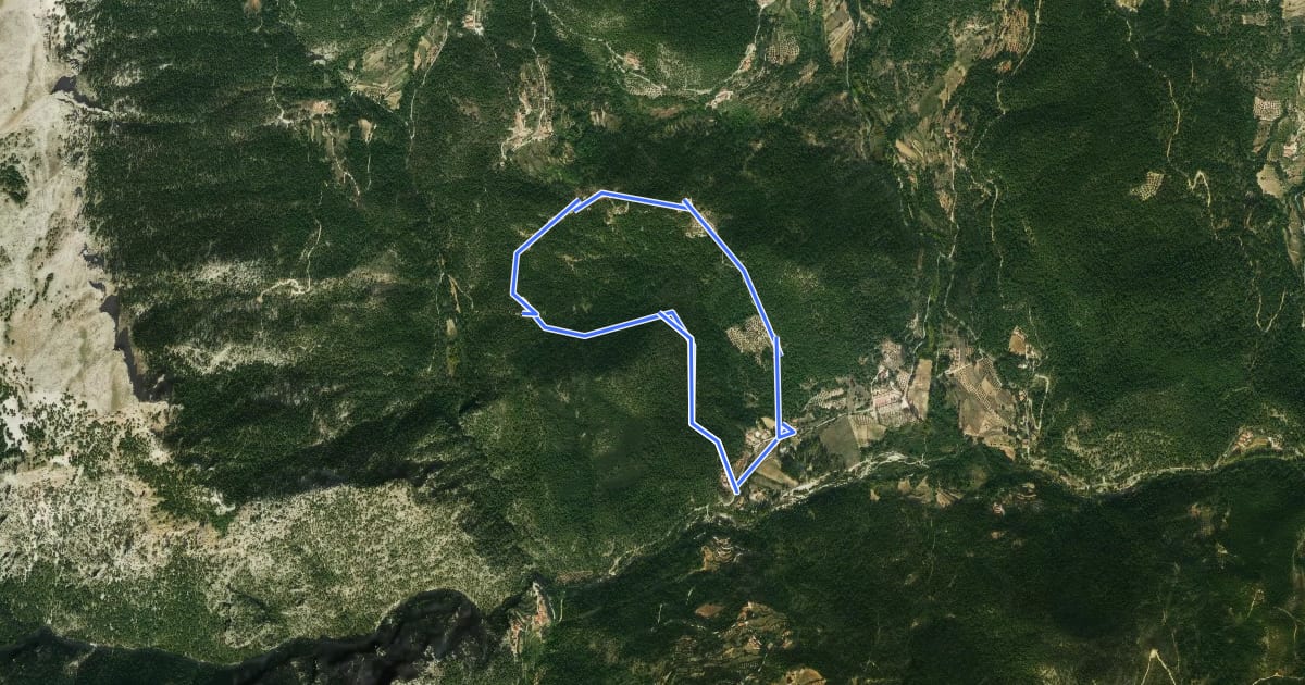 Маршрут Ruta Micológica Vado de Tus на спутниковом снимке