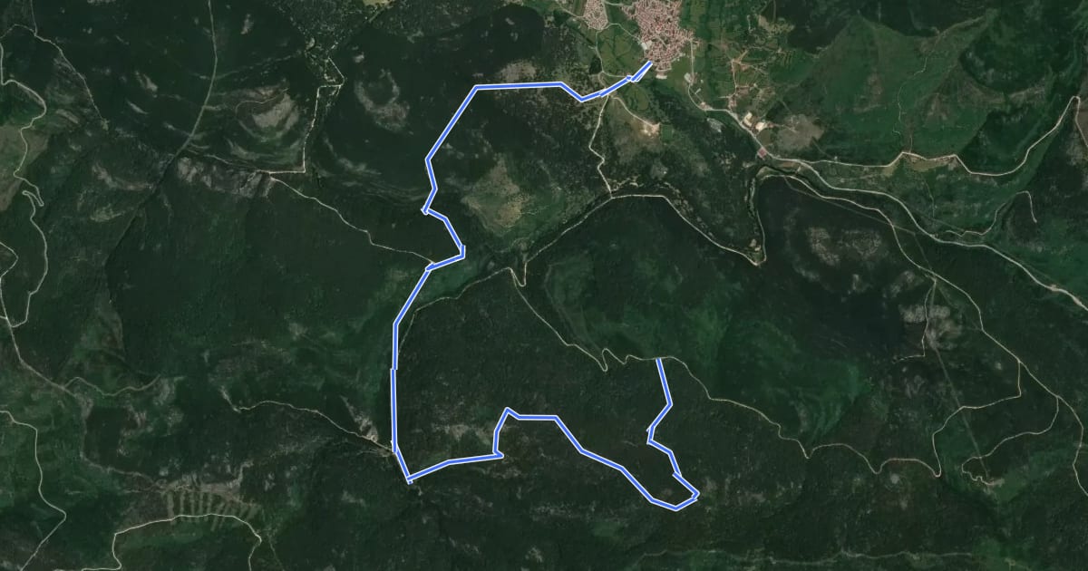 Маршрут Ruta por la Sierra de la Umbría на спутниковом снимке