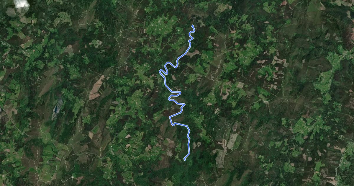 Маршрут Ruta Ribeira do Bispo - Miradoiro de Augas Caídas на спутниковом снимке