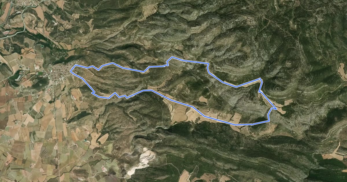 Маршрут Ruta Santuario de la Carrodilla. Rutas en el Somontano на спутниковом снимке