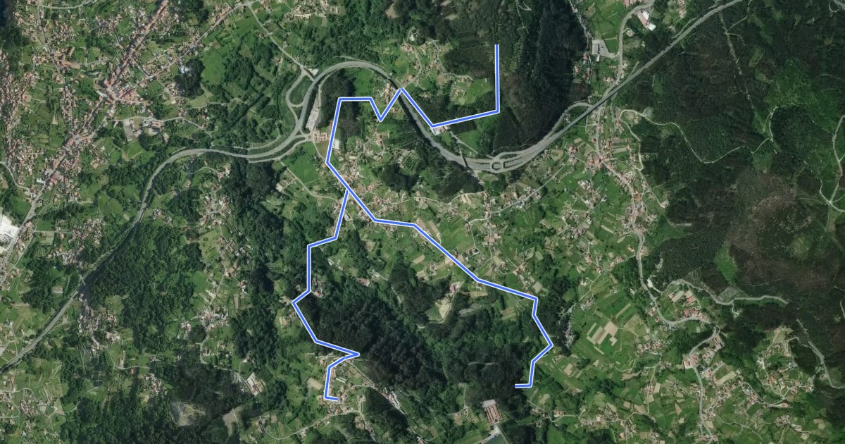 Маршрут Ruta Variante de San Tomé de Piñeiro на спутниковом снимке