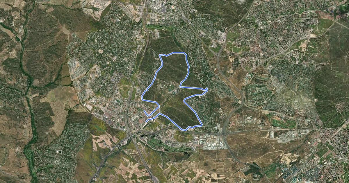Маршрут Ruta Verde 5.4 Monte de Boadilla на спутниковом снимке