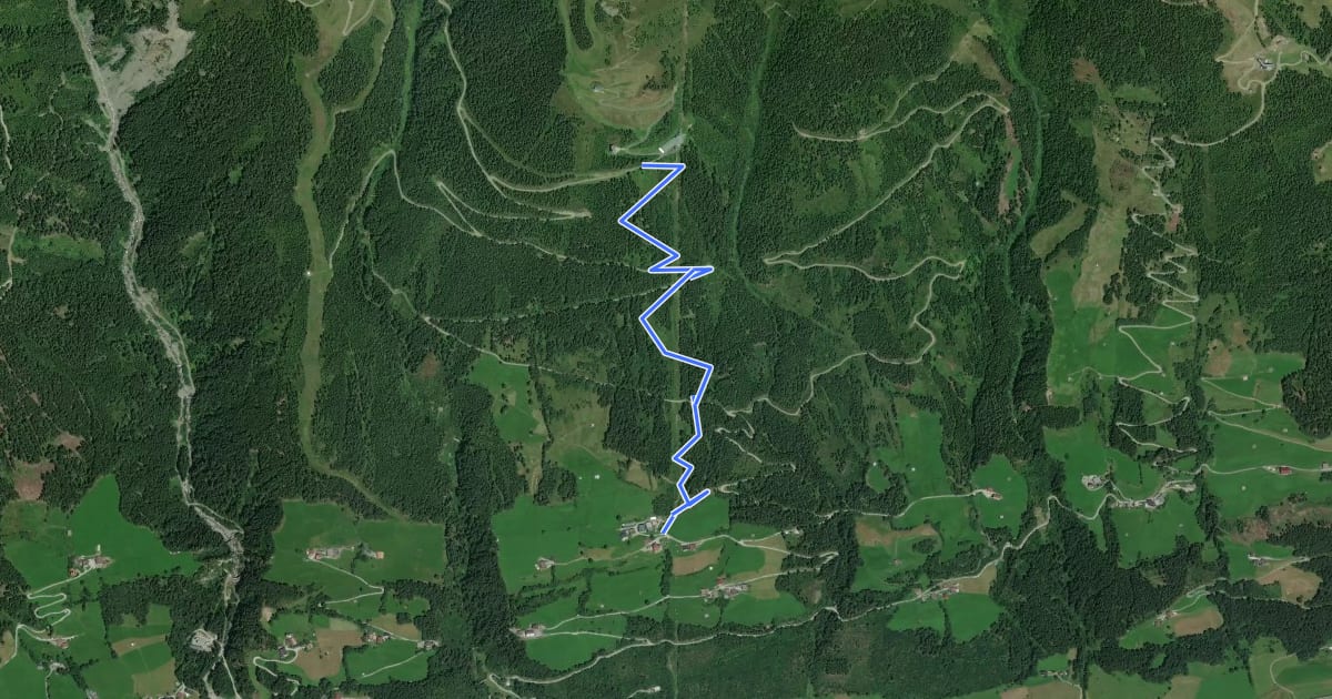 Маршрут Rutschenweg Wildkogelarena на спутниковом снимке