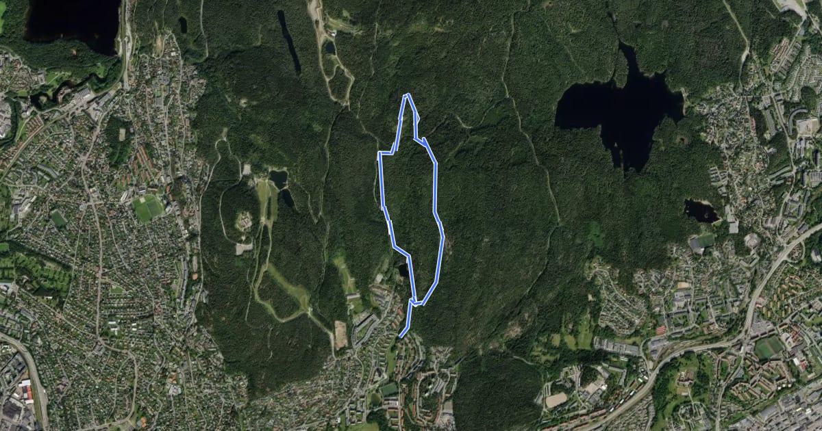 Маршрут Årvollåsen natursti на спутниковом снимке