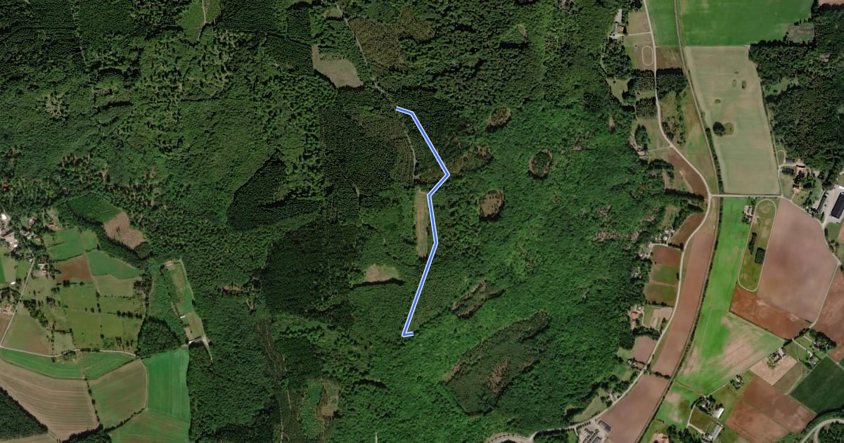 Маршрут Ryssberget flowtrail на спутниковом снимке