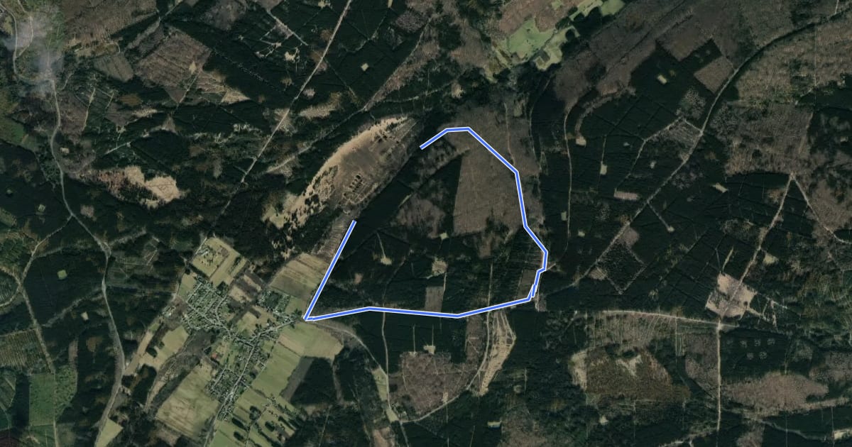 Маршрут S 3 - Mittelberg на спутниковом снимке