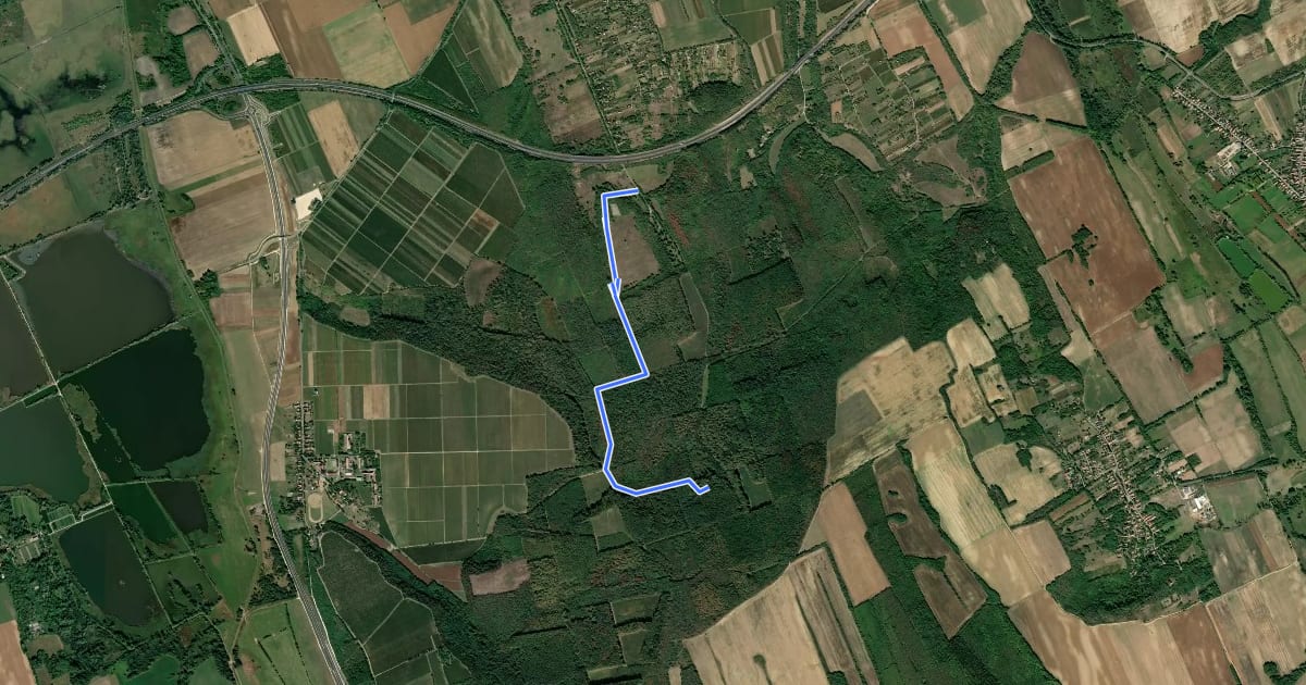Маршрут S+ (Balatonszemes - Pálos emlékhely) на спутниковом снимке