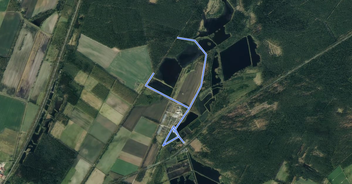 Маршрут Südheide 'Beim Hecht im Karpfenteich' W14k (kurze Tour) на спутниковом снимке