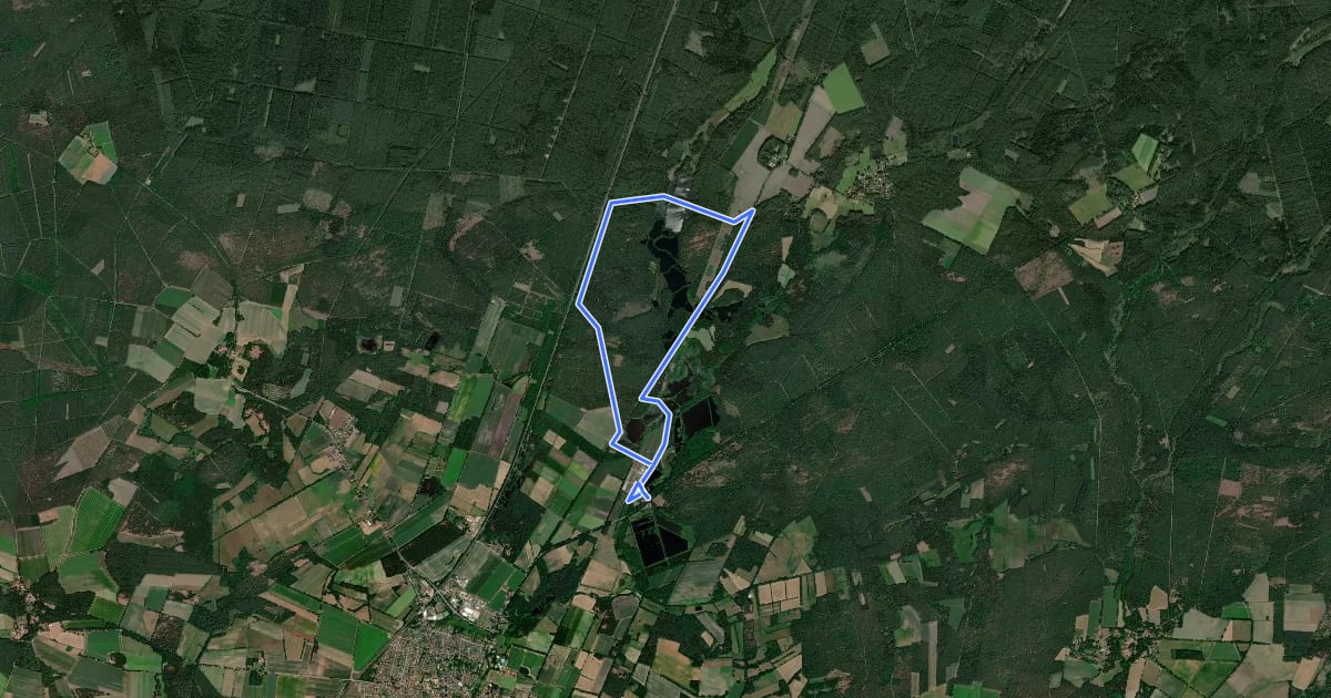 Маршрут Südheide 'Beim Hecht im Karpfenteich' W14l (lange Tour) на спутниковом снимке