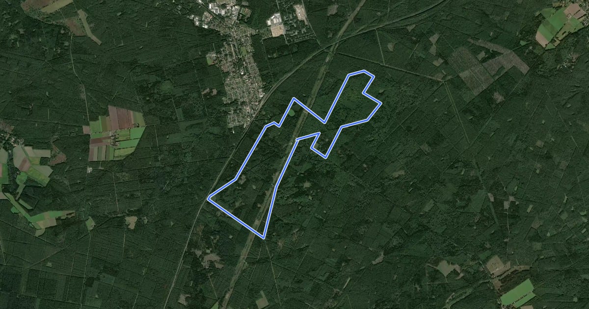 Маршрут Südheide 'Der Urwald im Lüß' W8l (lange Tour) на спутниковом снимке