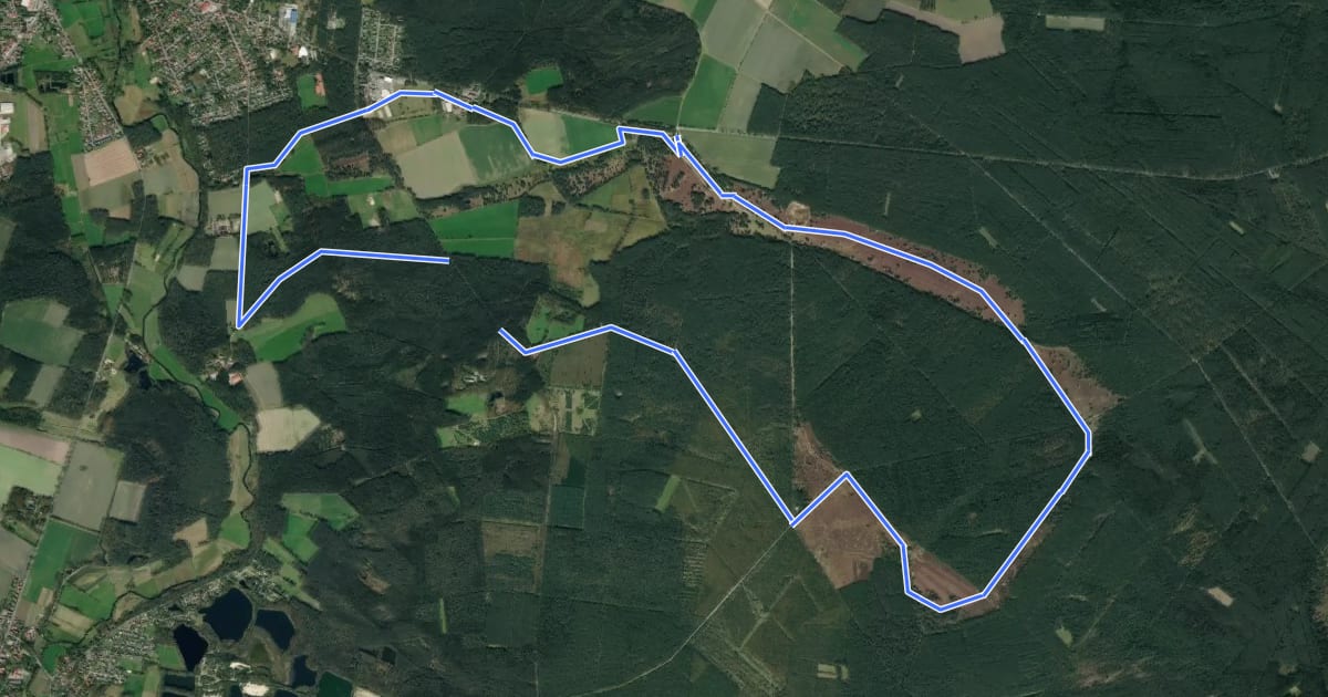 Маршрут Südheide 'Im Reich der Heidschnucken' W10l (lange Tour) на спутниковом снимке
