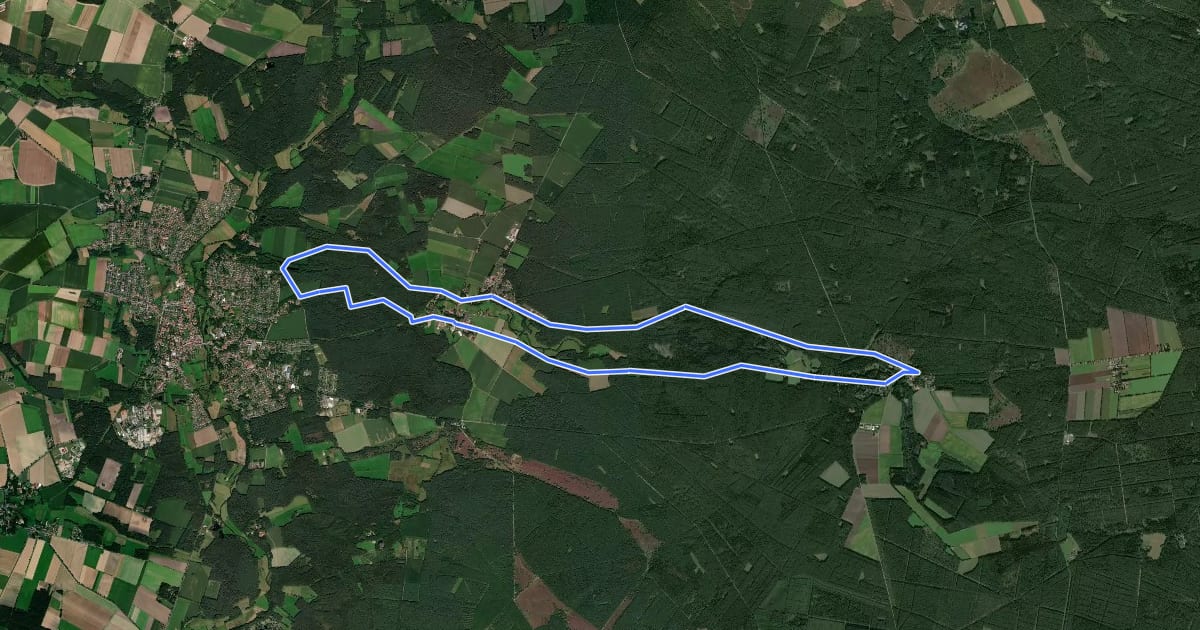 Маршрут Südheide 'In einem Bächlein helle' W6l (lange Tour) на спутниковом снимке