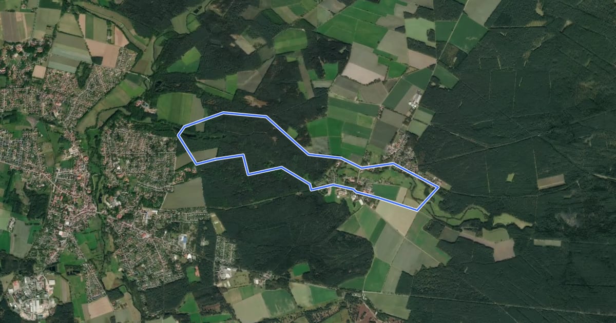 Маршрут Südheide 'In einem Bächlein helle' W6m (mittlere Tour) на спутниковом снимке
