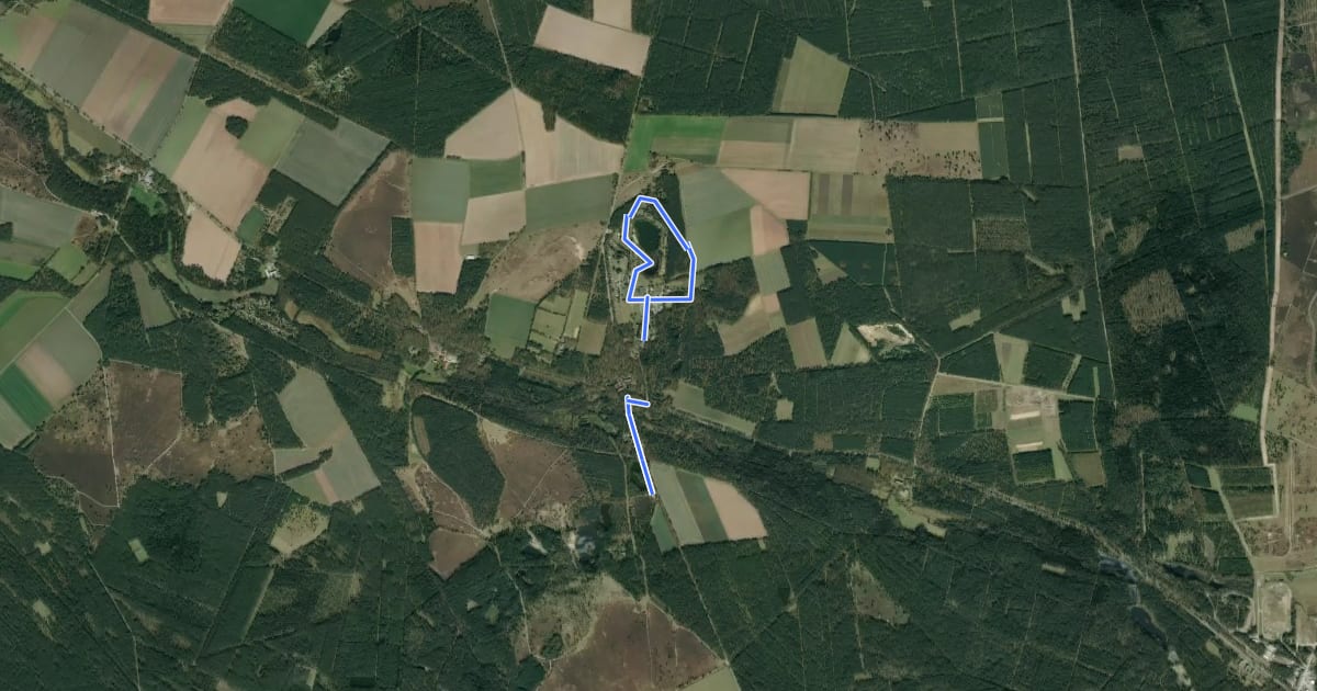 Маршрут Südheide 'Kieselgur - das Gold der Heide' W5Lp (Lehrpfad) на спутниковом снимке