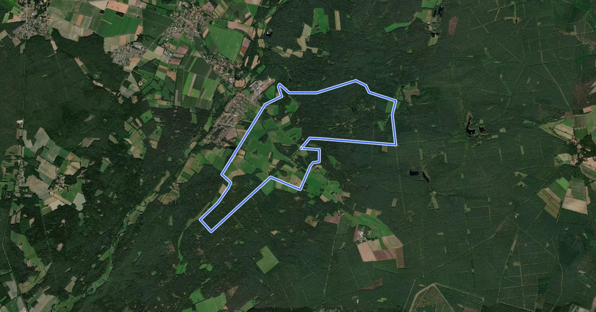 Маршрут Südheide 'Salz in der Heide' W16l (lange Tour) на спутниковом снимке