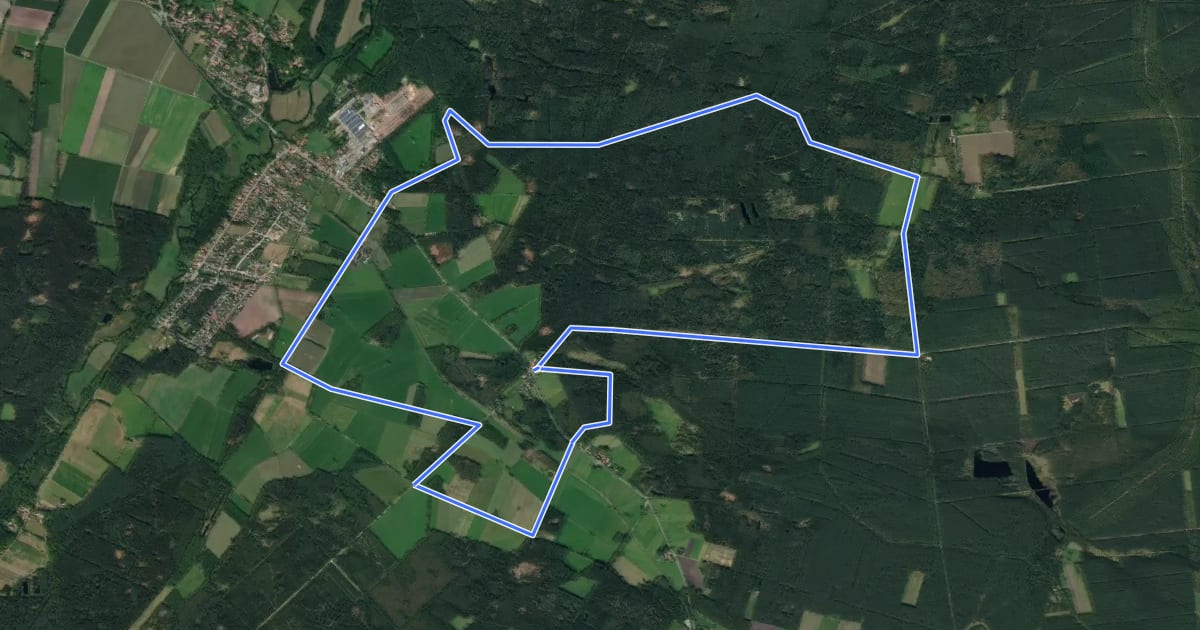 Маршрут Südheide 'Salz in der Heide' W16m (mittlere Tour) на спутниковом снимке
