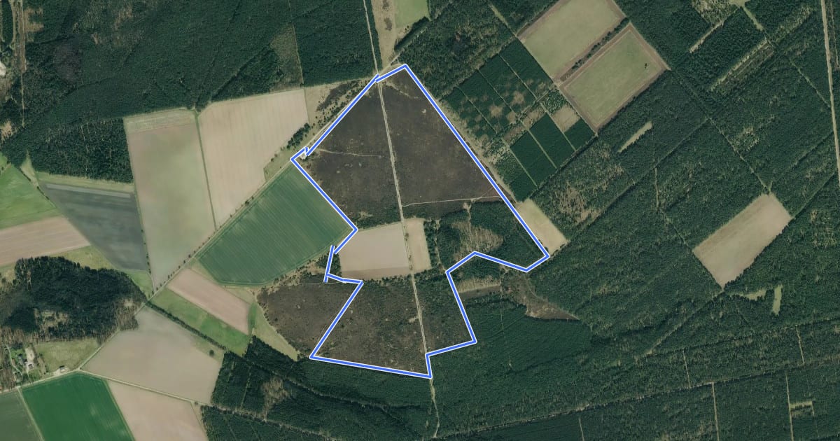 Маршрут Südheide 'Wacholderwald in der Teufelsheide' W1k (kurze Tour) на спутниковом снимке
