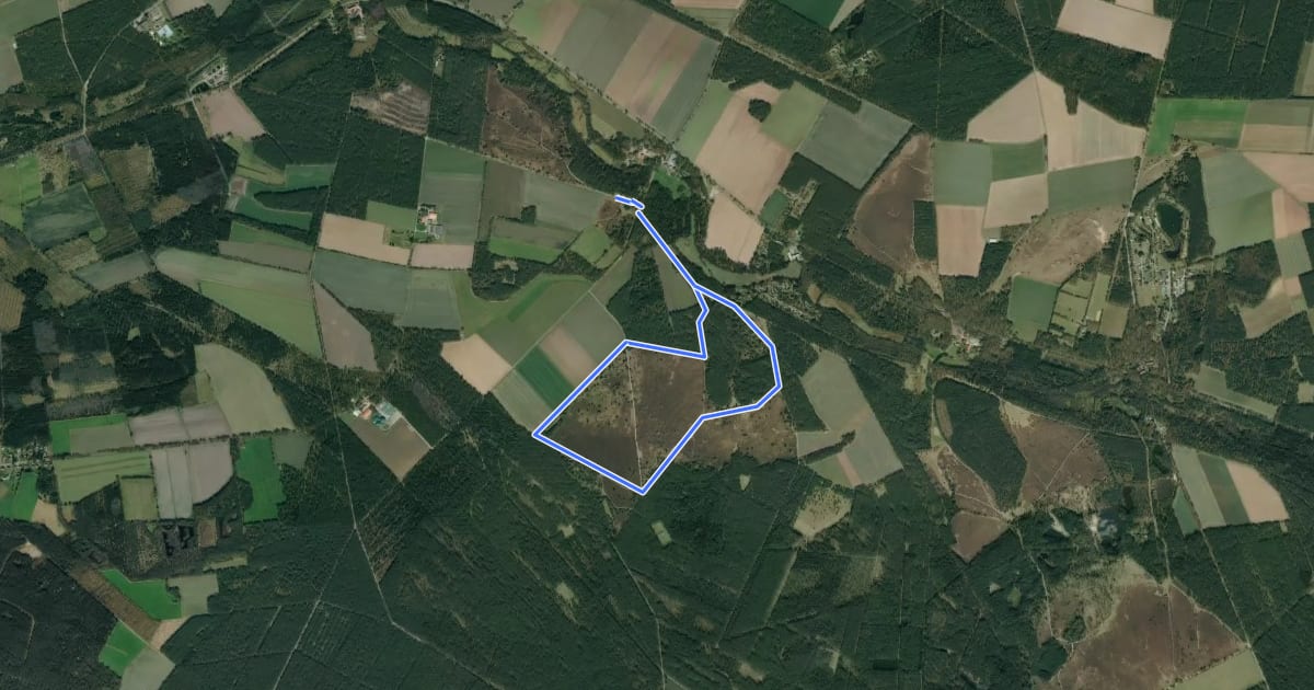 Маршрут Südheide 'Wo der Wald mit der Heide kuselt' W2k (kurze Tour) на спутниковом снимке