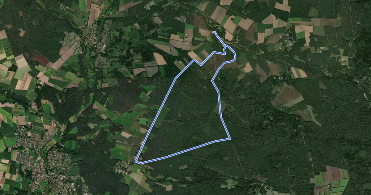 Маршрут Südheide 'Wo der Wald mit der Heide kuselt' W2l (lange Tour) на спутниковом снимке