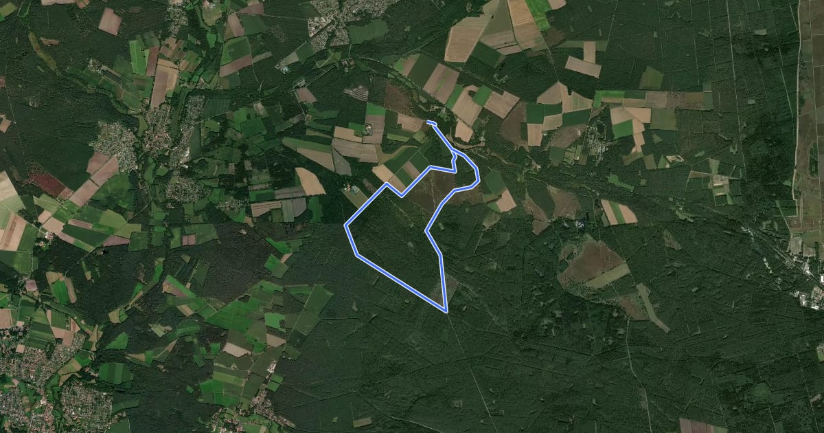 Маршрут Südheide 'Wo der Wald mit der Heide kuselt' W2m (mittlere Tour) на спутниковом снимке