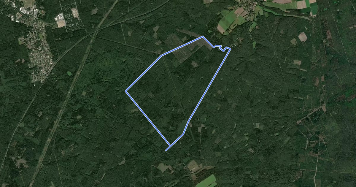 Маршрут Südheide 'Wo die Wölfe ihre Fährten ziehen' W9l (lange Tour) на спутниковом снимке