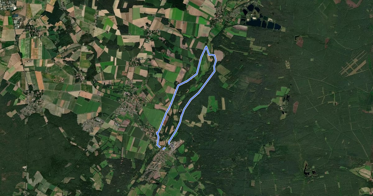 Маршрут Südheide 'Wo Eisvogel und Fischotter sich "Gute Nacht" sagen' W15m (mittlere Tour) на спутниковом снимке