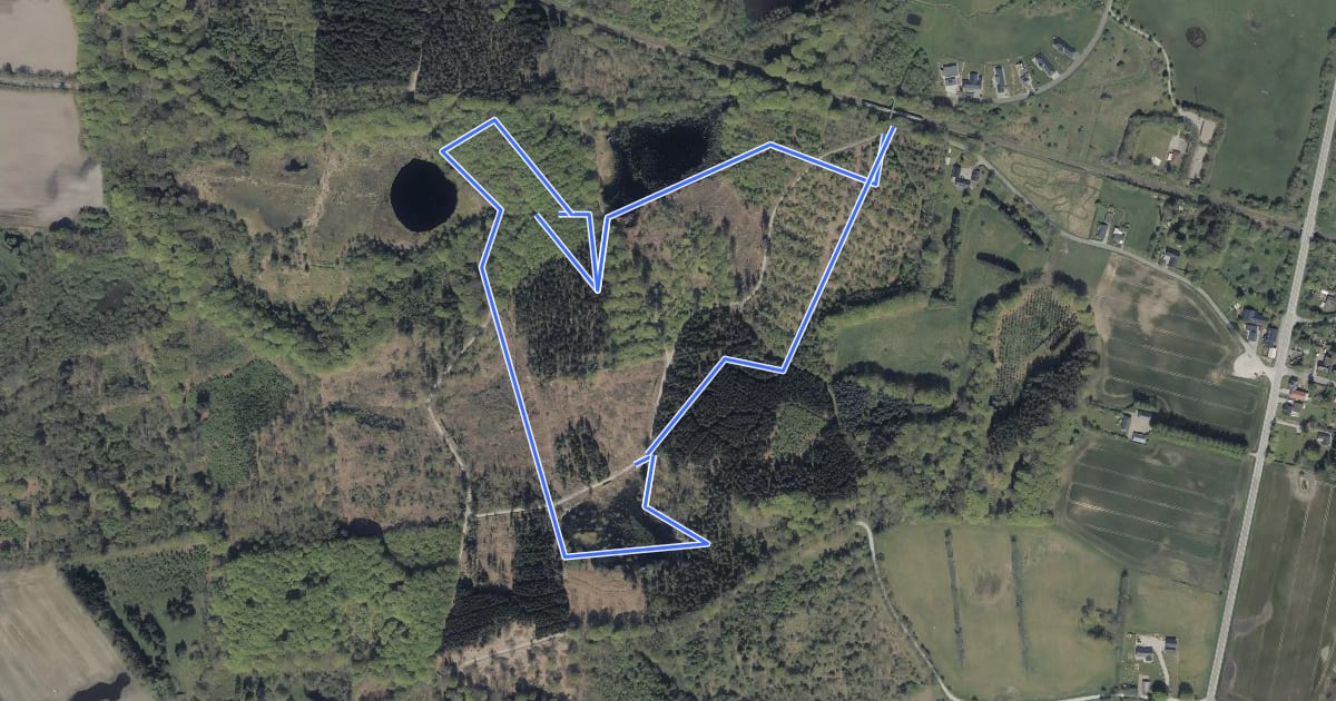 Маршрут Søgård Skov, syd на спутниковом снимке
