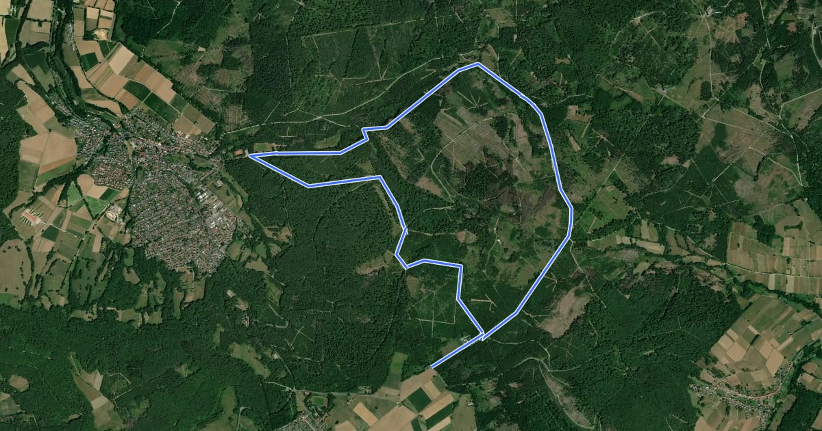 Маршрут Söhrewald, Rundweg 12 на спутниковом снимке