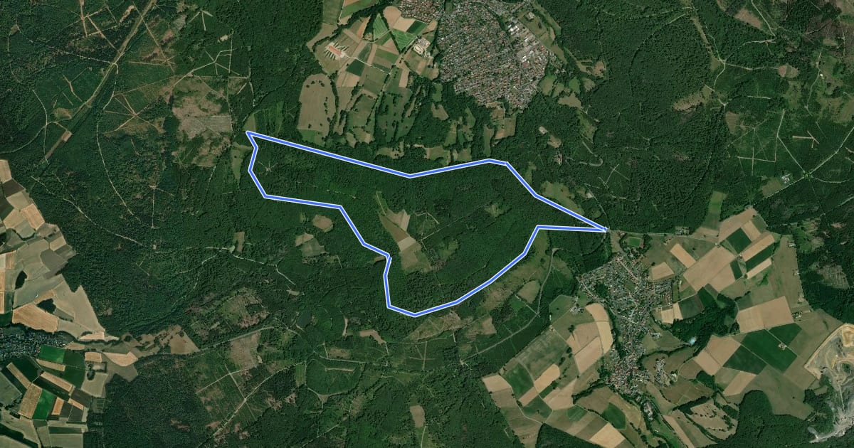Маршрут Söhrewald, Rundweg 3 на спутниковом снимке
