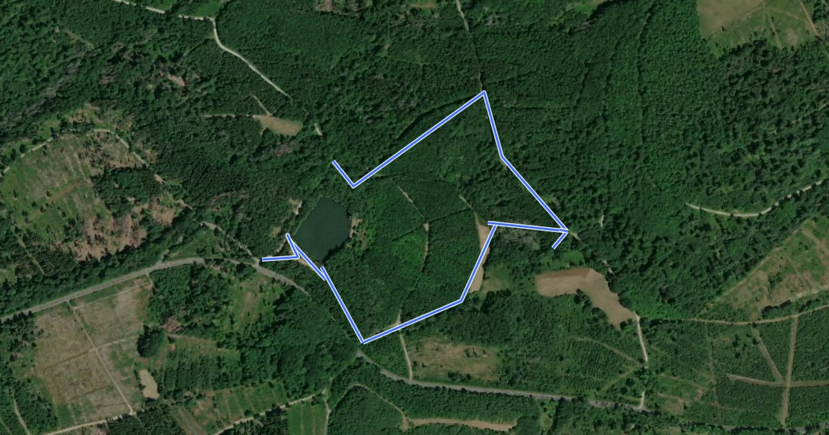 Маршрут Söhrewald-Wattenbach, Rundweg 41 на спутниковом снимке