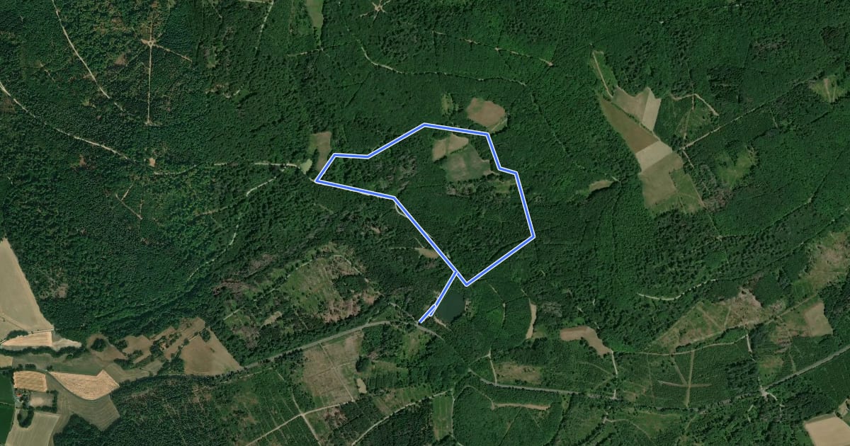Маршрут Söhrewald-Wattenbach, Rundweg 42 на спутниковом снимке