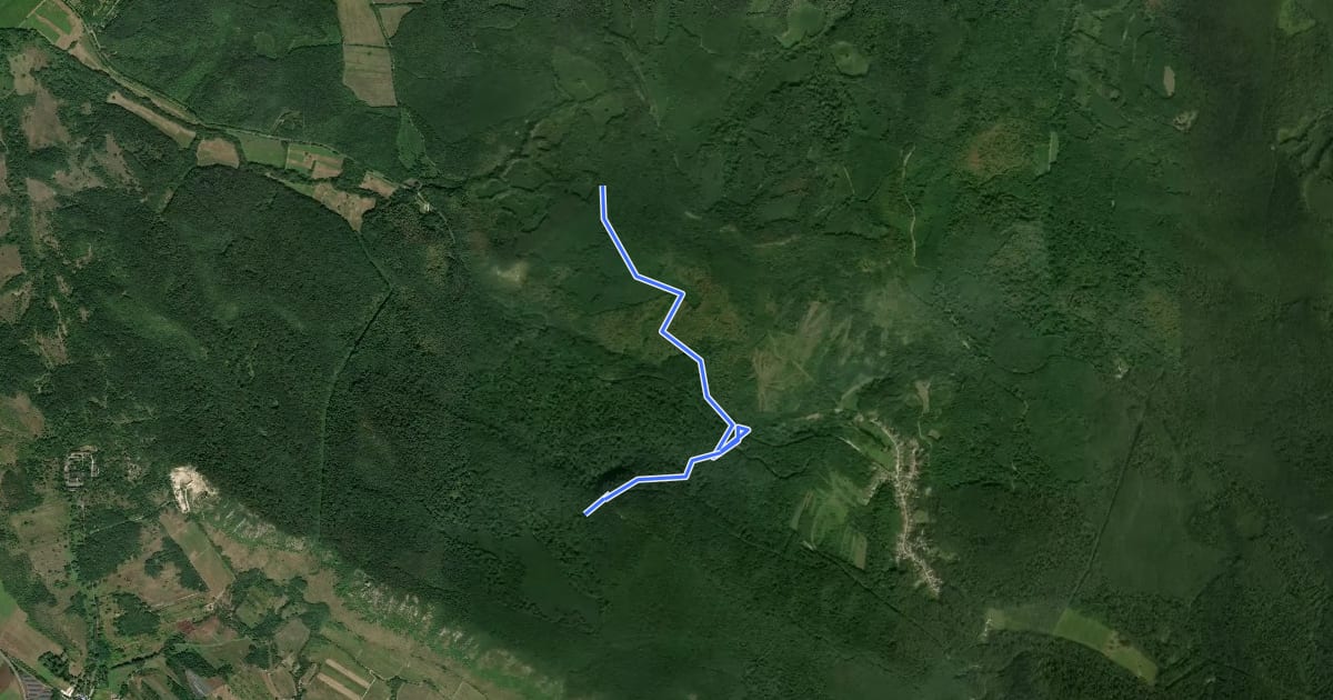 Маршрут S+ (István-hegy alja – Háromszázgarádics – Fekete-hegyi-erdő) на спутниковом снимке